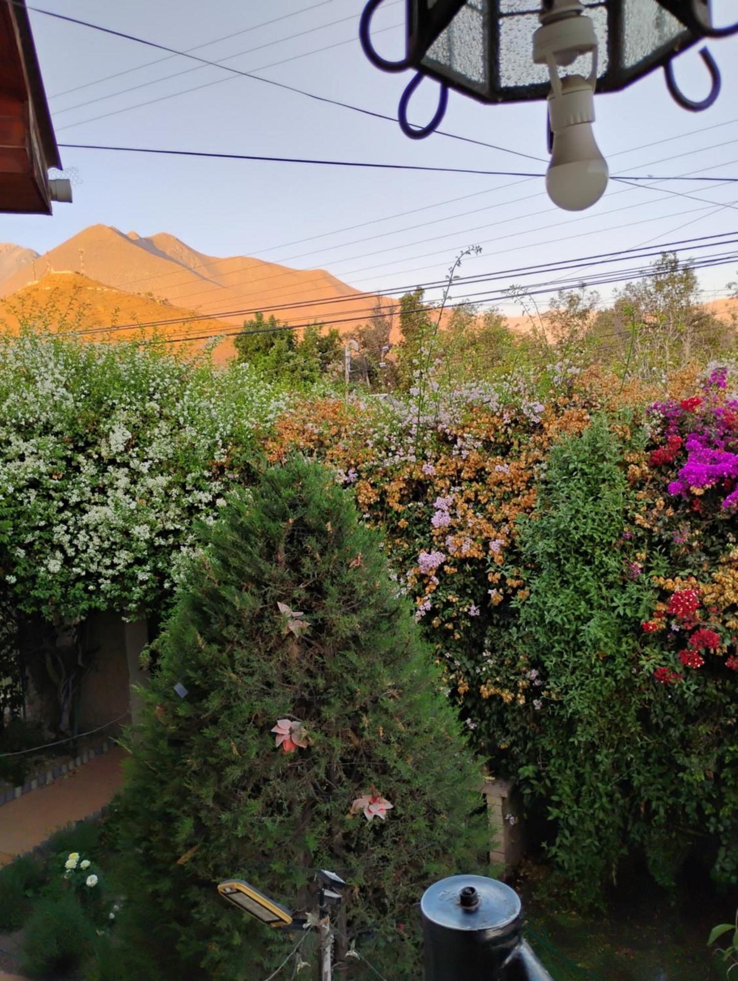 Hostal Donde Rita Vicuña Buitenkant foto
